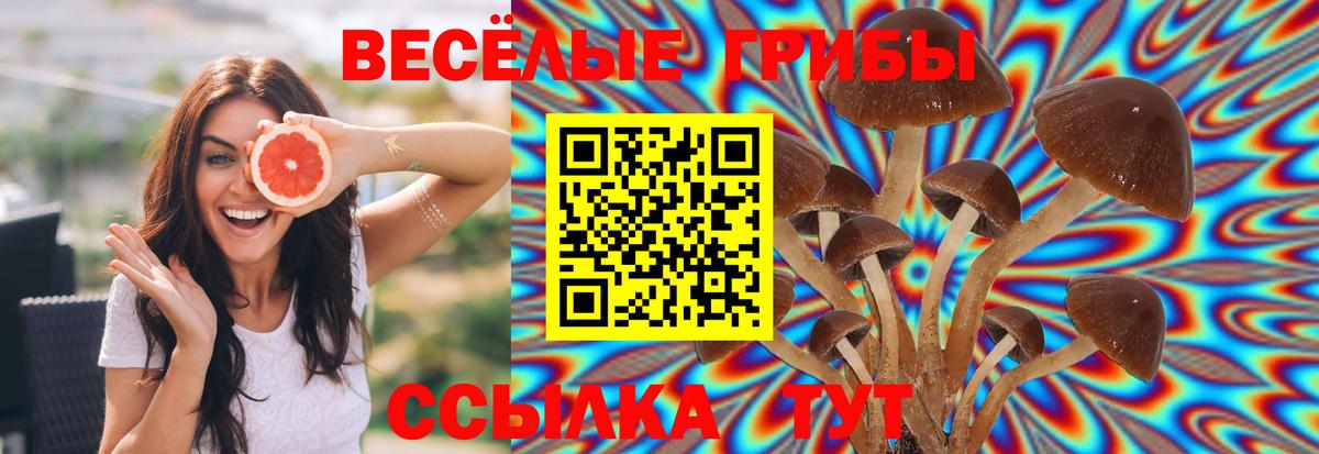 Псилоцибиновые грибы GOLDEN TEACHER  Вход с VPN  Новоалександровск 