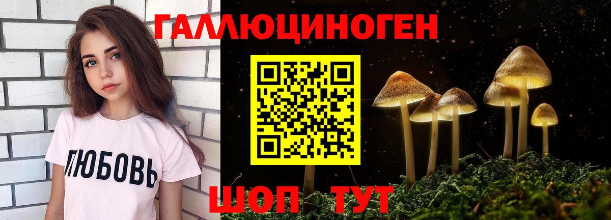 Галлюциногенные грибы ЛСД Новоалександровск