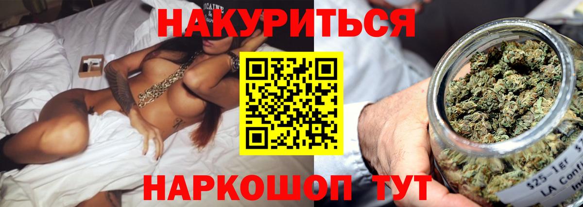 Бошки Шишки план Новоалександровск